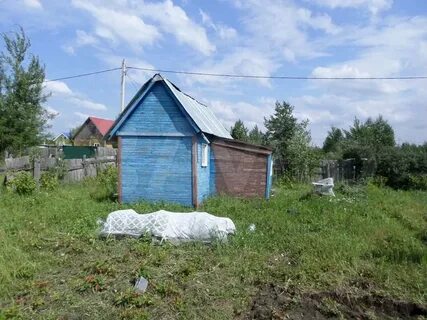 Снт сосновый бор