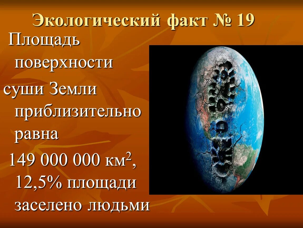 Проблема экологии факты. Экологические факты интересные. Интересные факты об экологии. Интересные факты об экологии для детей. Факты об экологии для детей.