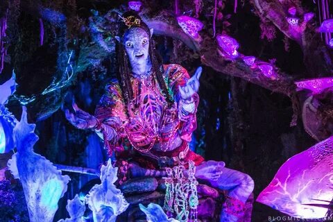 Avatar world год