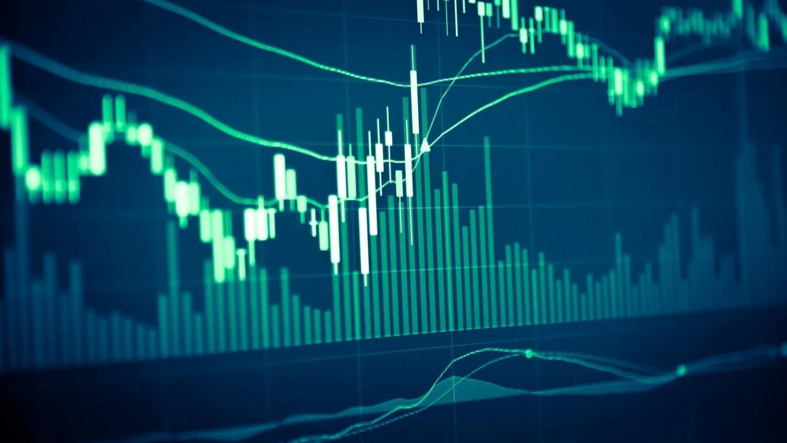 Stock Официальный Сайт