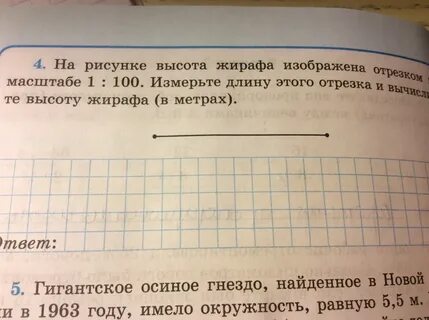 Гигант ответ на вопросы