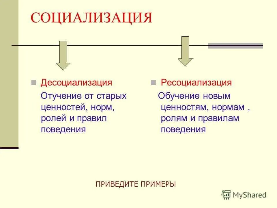 Социализация и десоциализация