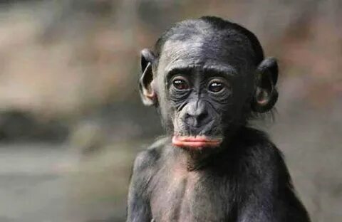 Баланың кеудесіне тиюіне рұқсат етіңіз (онлайн көру)