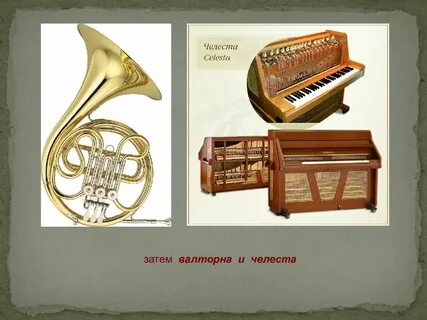 Музыкальный темп 5
