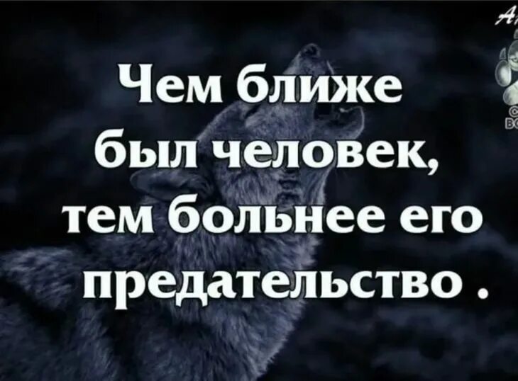 Статусы опредательсве. О предательстве близких людей цитаты. Фразы про предательство. Цитаты о предательстве любимого человека со смыслом. Самая больная тема