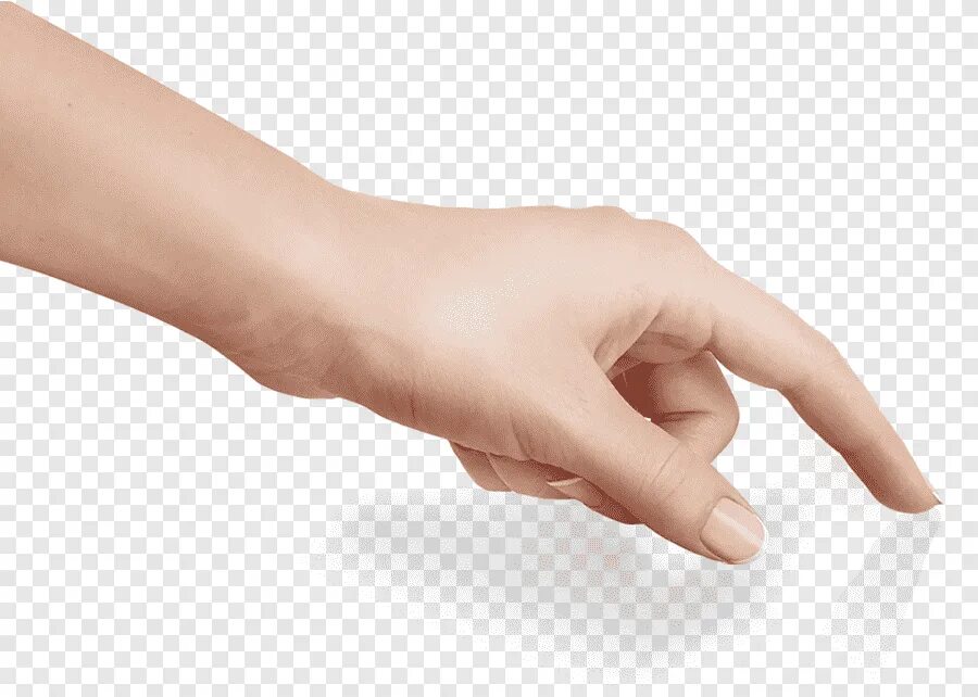 Указательный палец на белом фоне. Рука с указательным пальцем. Hand finger. Женская рука. Рука с указательным пальцем.