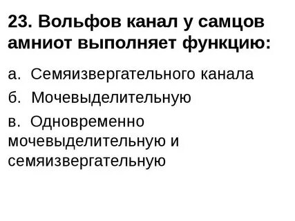 Вольфов канал