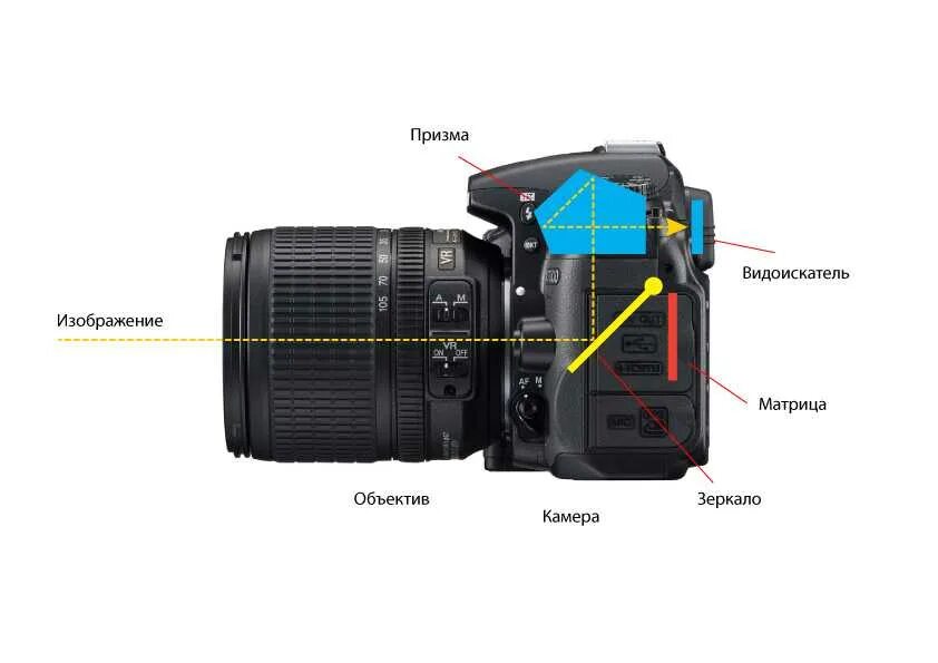 Части цифрового фотоаппарата Canon. Видоискатель для зеркальной фотокамеры Nikon. Устройство камер со стенками