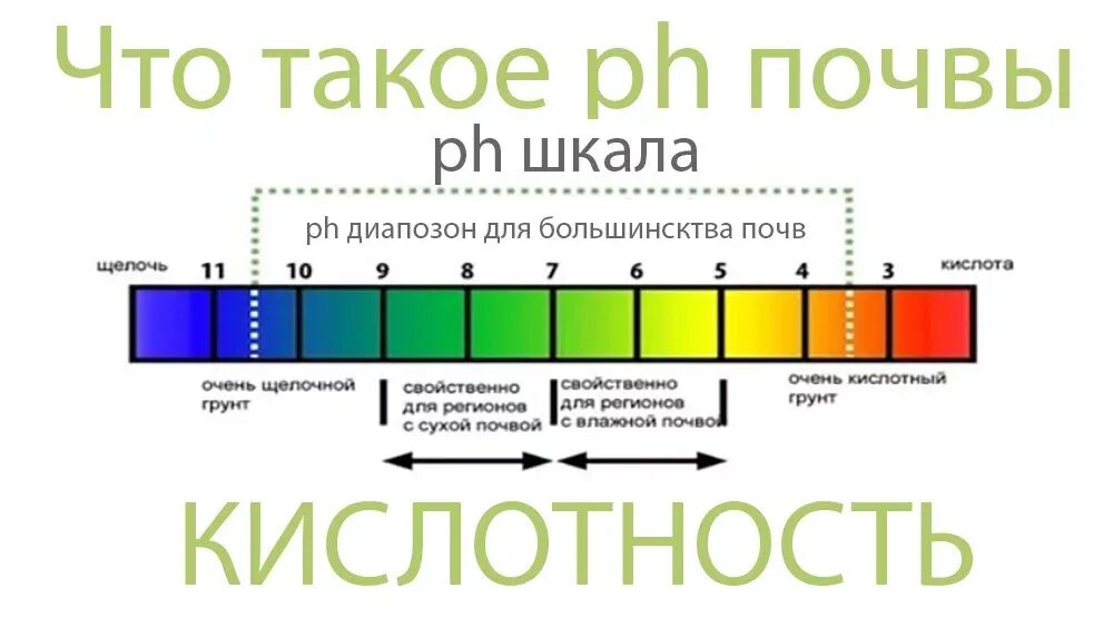 Единица кислотности. Кислотность почвы таблица PH. Шкала кислотности PH почвы. Шкала PH почвы кислотности почвы. Кислотность 4.5.