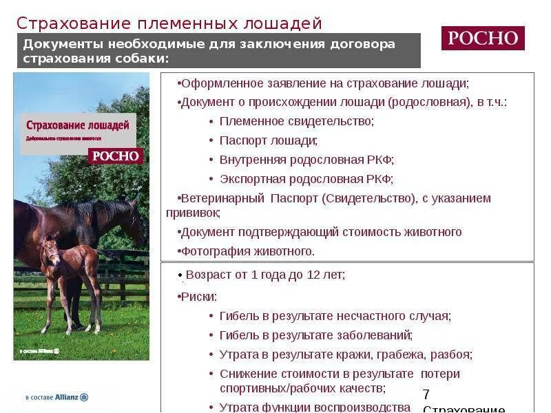 Страхование сельскохозяйственных животных