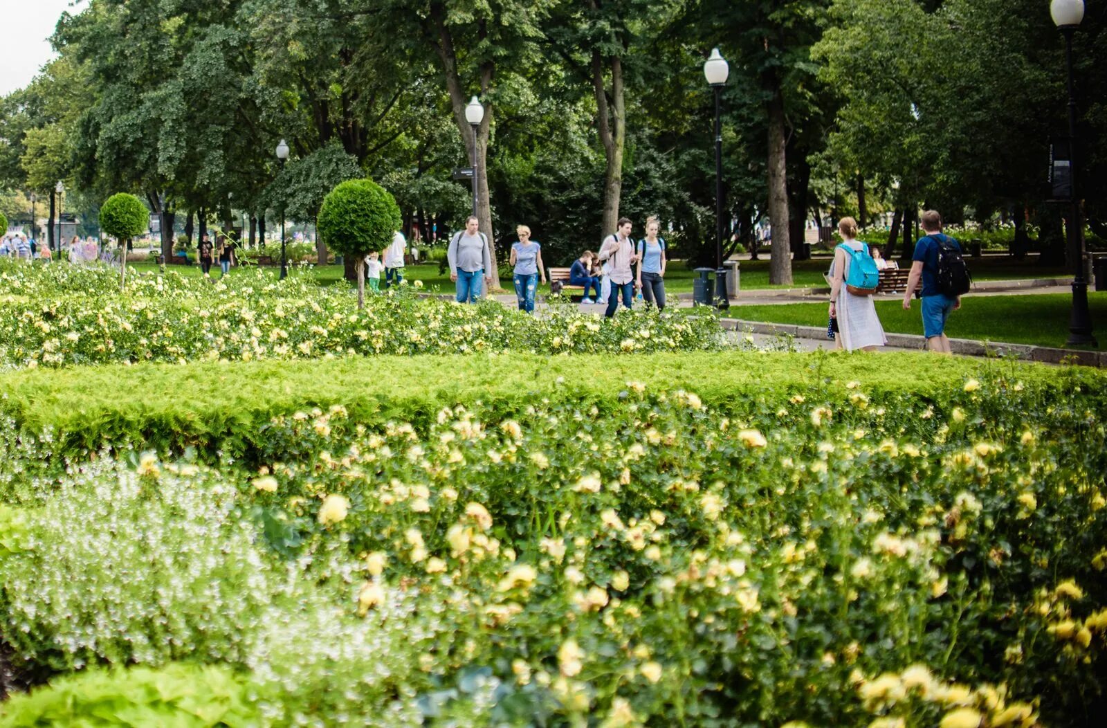 Зеленый парк Москва. Зеленые парки Москвы. Озеленение парка Грачевка. Парк Битцевский лес проект благоустройство.
