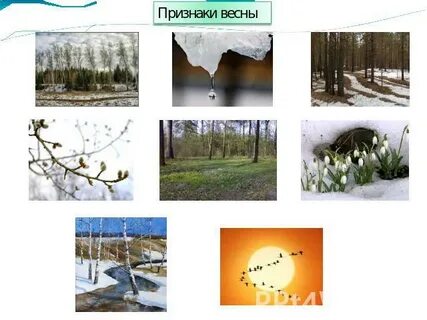 4 признака весны