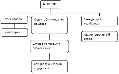 Организационная структура приема и размещения