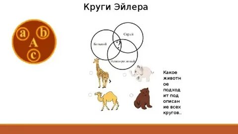 Что такое круги эйлера в информатике