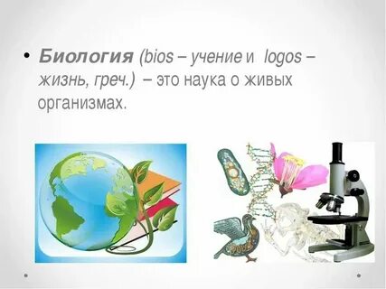 Презентация биология как наука общая характеристика жизни