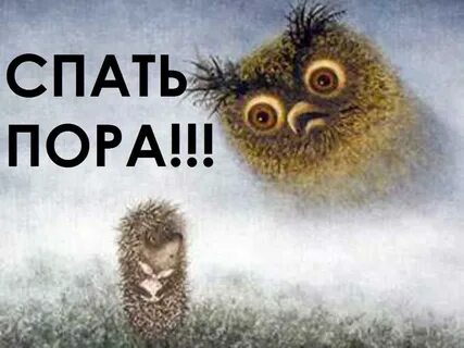 Всем спать смешные картинки