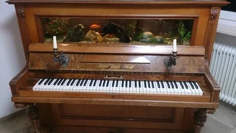 Piano has
