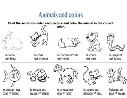 Read and colour the picture перевод