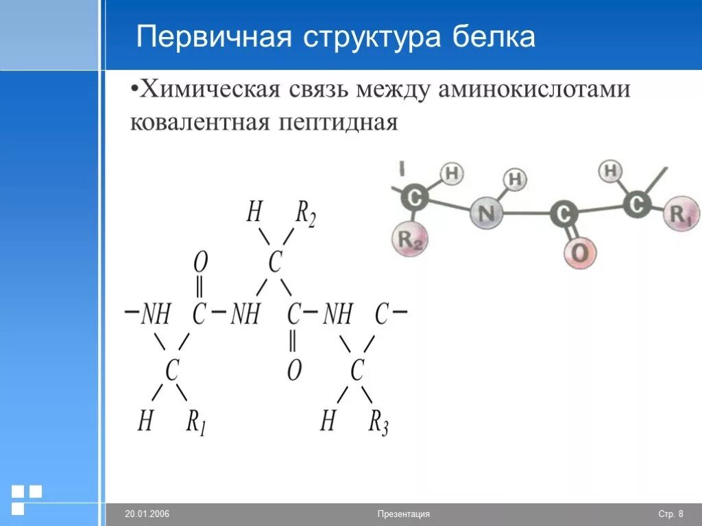 Первичная структура белков химическая связь. Первичная структура белка ковалентная связь. Белки первичная структура химия. Белки структура белков химические свойства биологические функции.