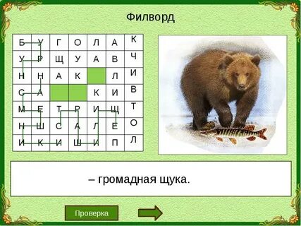 Кабан кроссворд
