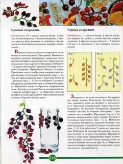 Схемы смородина