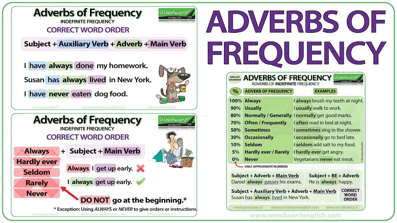 Adverbs of Frequency. Frequency adverbs грамматика. Adverbs of Frequency in English. Adverbs of Frequency Grammar. Adverbs of frequency in the sentence