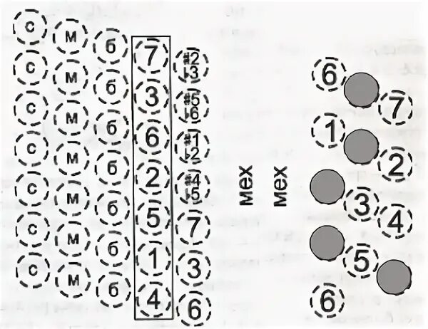 Выборная клавиатура баяна схема. Схема левой клавиатуры гармони 25х25. Баян Этюд схема клавиатуры. Басовая клавиатура баяна схема. Аккорды на баяне правая