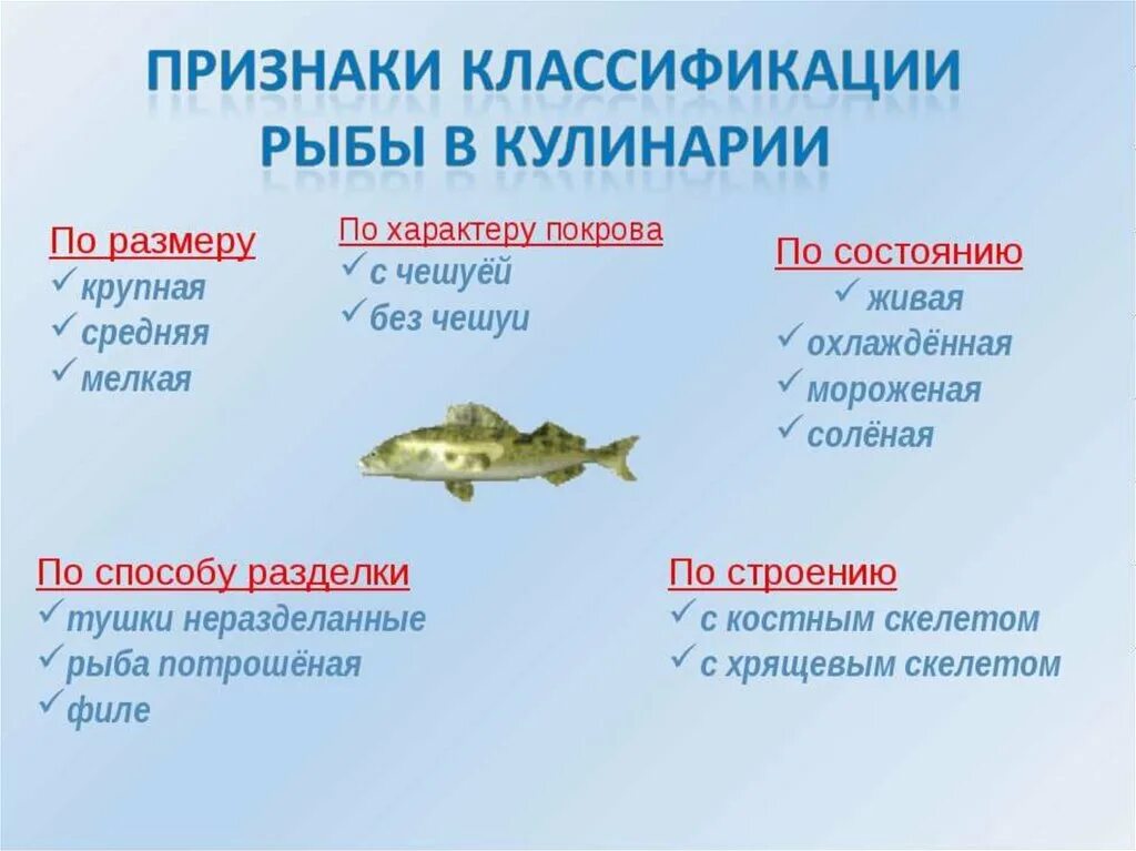 Рыба поступающая на предприятия общественного питания