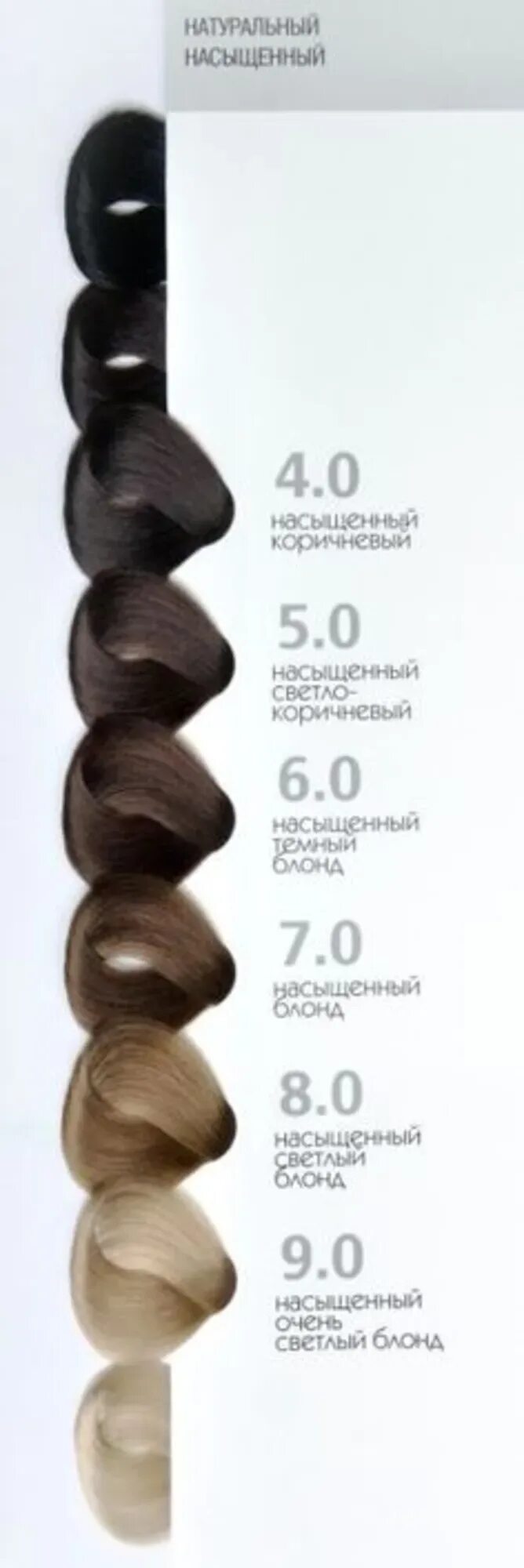 STUDIO Краска для волос, 100 мл - купить с доставкой по выгодным ценам в интерне