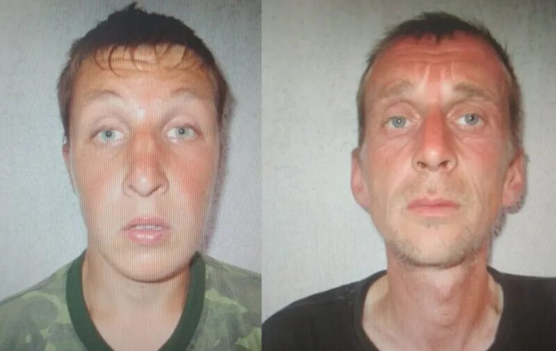 Розыск преступников