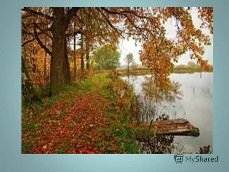 о красном вечере стих есенин.