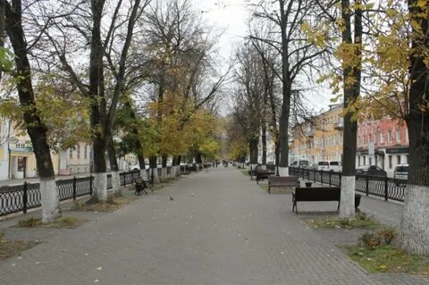 Тверь радищева фото