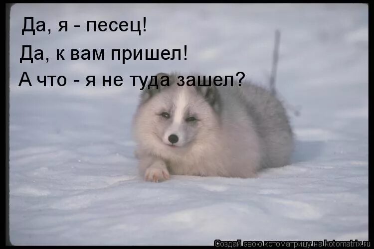 Зашел не туда