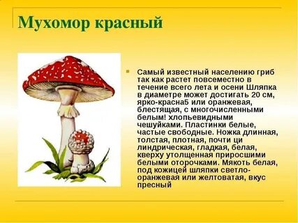 Как пишется поганка