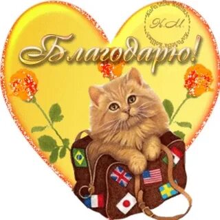 Ватсап благодарность
