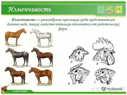 Ковкое это какое