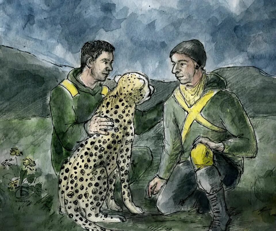 Pet cheetah. Pet Cheetah twenty one Pilots обложка. Twenty one Pilots Art Pet Cheetah. Pet Cheetah twenty one Pilots обложка на обои. Cheetah as a Pet.