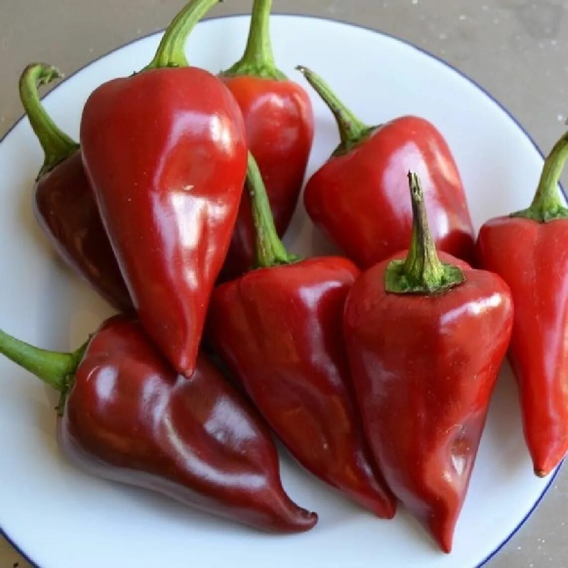 Какой сорт перца
