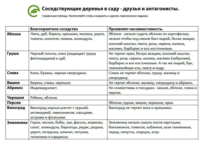 Можно ли сажать плодовые деревья рядом. Таблица соседства плодовых деревьев. Совместимость плодовых деревьев и кустарников в саду таблица. Таблица совместимости посадки плодовых деревьев. Соседство плодовых деревьев и кустарников таблица.