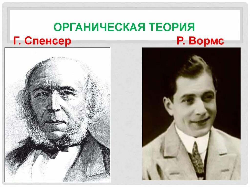 Герберт спенсер теория. Органическая теория возникновения государства. Органическая теория государства спенсер. Герберт спенсер органическая теория кратко. Органическая автор.