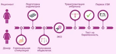 Как сдать яйцеклетку на донорство