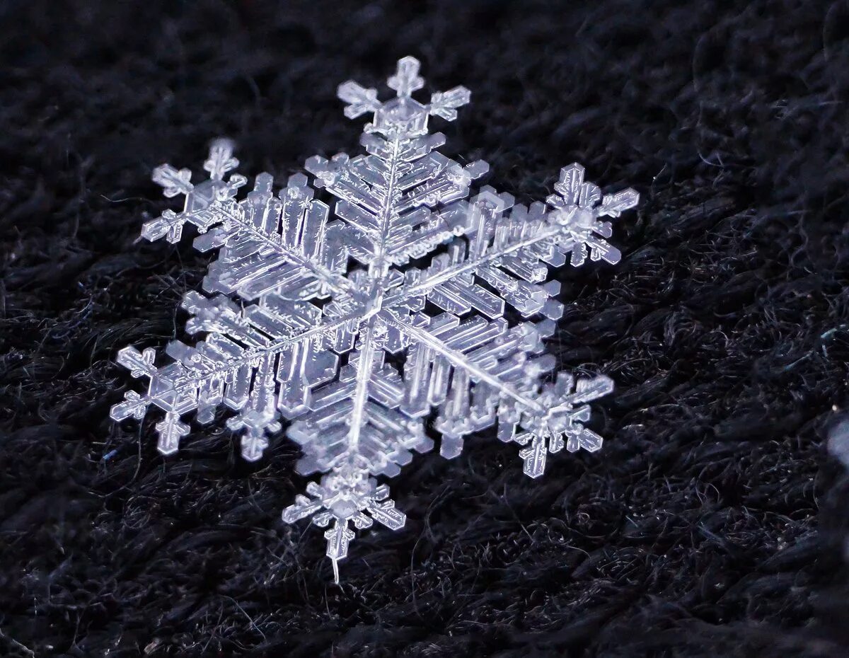 Снежинки фото настоящие макросъемка. Уникальность снежинки. Снежинка. Самая большая снежинка в мире. Снежинка макросъемка.