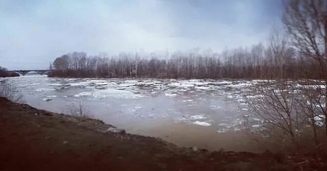 Вода в бии на сегодня. Бийск ледоход. Когда будет ледоход в Бийске. Когда вскроется река Бия в Бийске.