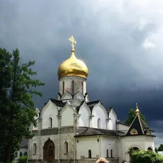 Звенигородский отзывы