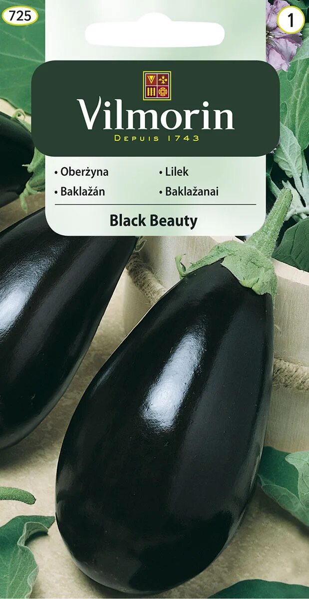 Томат Black Beauty (черный красавец, черная красавица). Семена баклажан Блэк Бьюти. Баклажан черный красавец. Томат Black Beauty. Баклажаны черный красавец описание сорта фото