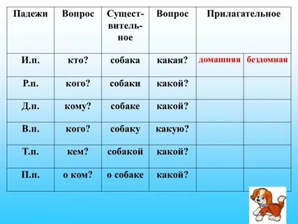 Пишется падеж в прилагательном