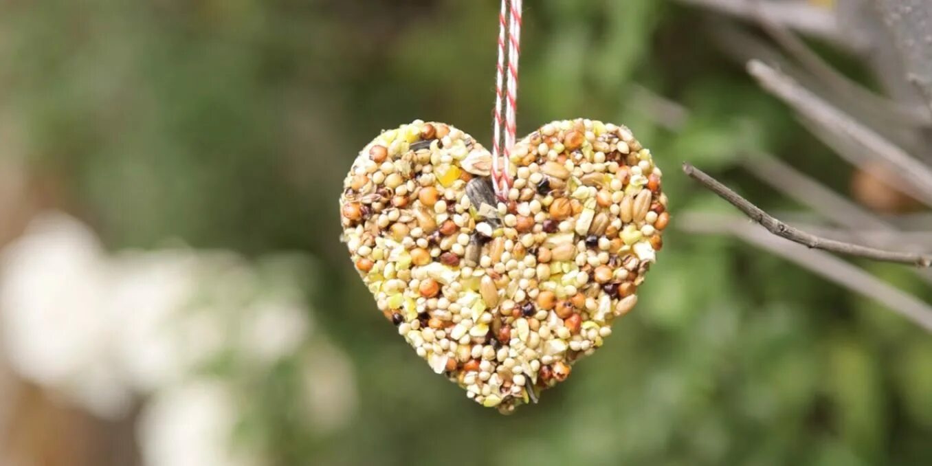 Необычные кормушки для птиц. Кормушка для птиц подвесная. Необычные кормушки для птиц. Кормушка для птиц. Съедобная кормушка для птиц.