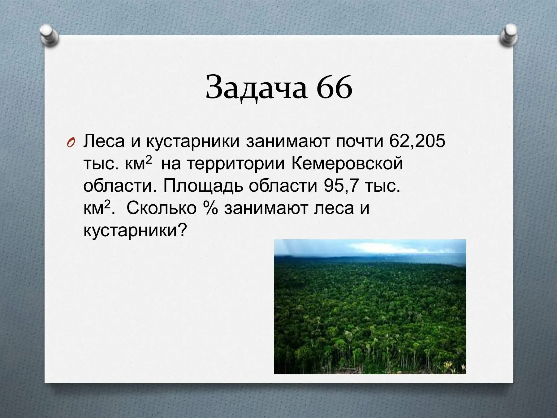 Леса половина территории россии. Задачи про лес. Найдите площадь которую занимает лес в км2. Моя любимая задача. Сколько озёр, леса занимают площадь России в км2.