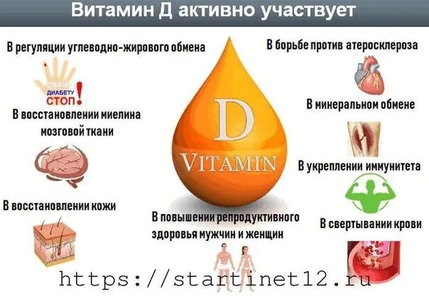 Какие функции выполняет витамин д. Функции витамина д3 в организме человека. роль витамина д в организме человека. влияние витамина д на организм. витамин д действие на организм.