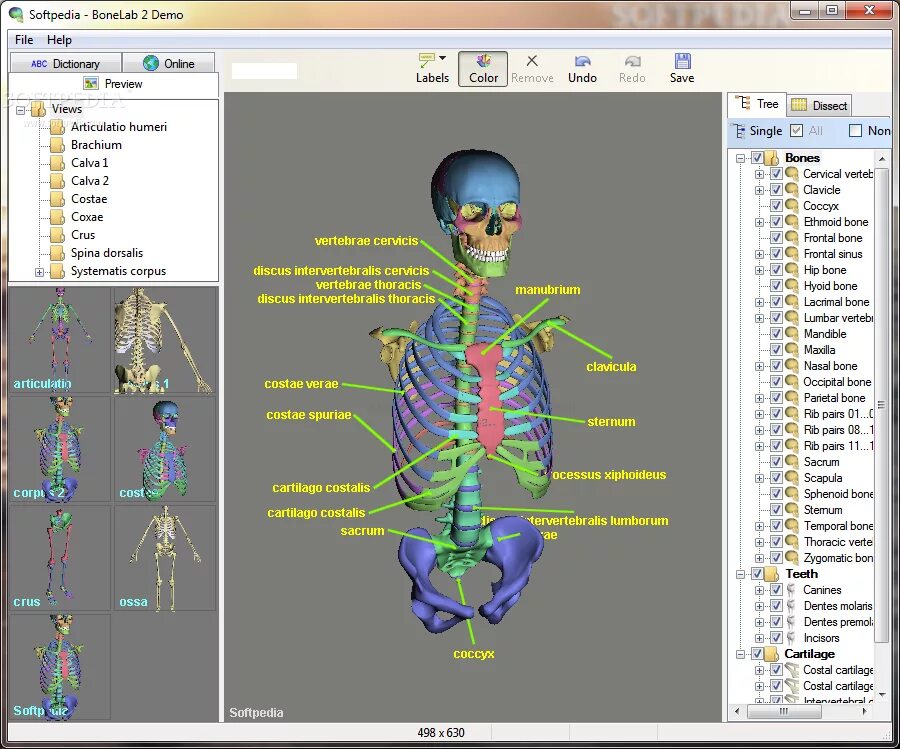 Bonelab игра моды. Как установить моды на bonelab. Как установить моды на bonelab. Как установить моды на bonelab. Bonelab oculus.